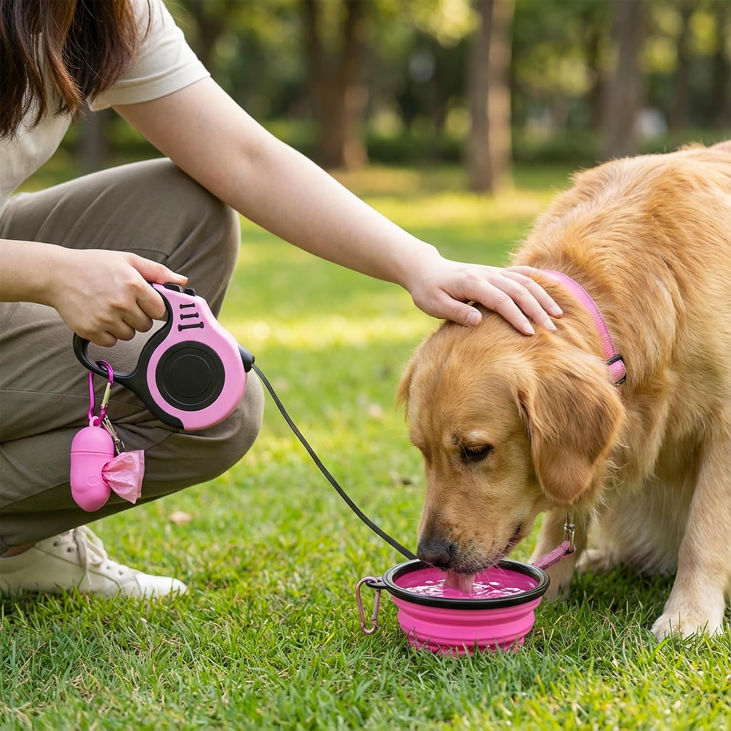 Chic Retractable Dog Leash Set