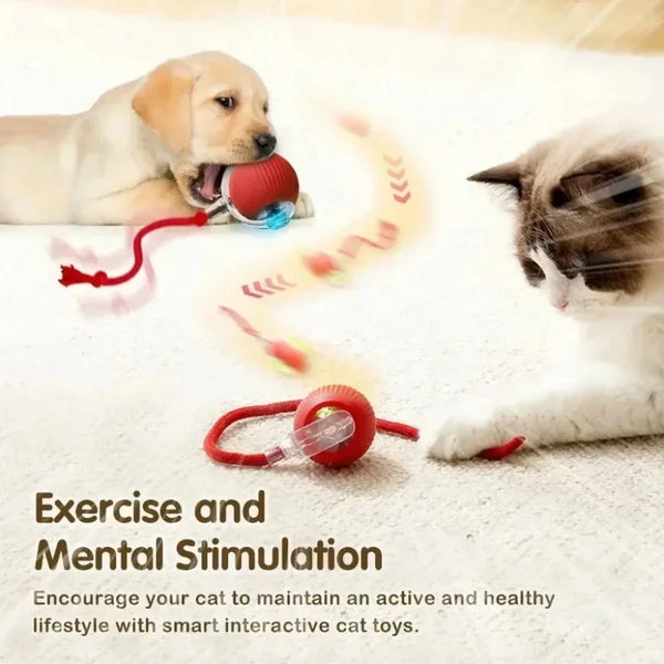 Cat-Interactive-Ball-Toy-Automatic-Rolling-Ball-with-Tail-Rechargeable-Smart-Pet-Interactive-Toy-Intelligent-Mouse.jpg