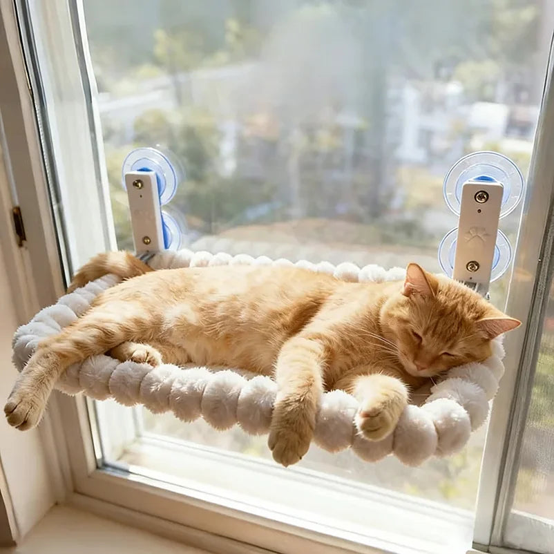 Sunny Window Cat Hammock